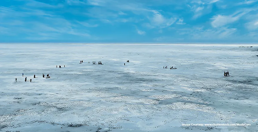 White Rann of Kutch - Endless white salt desert under moonlight
