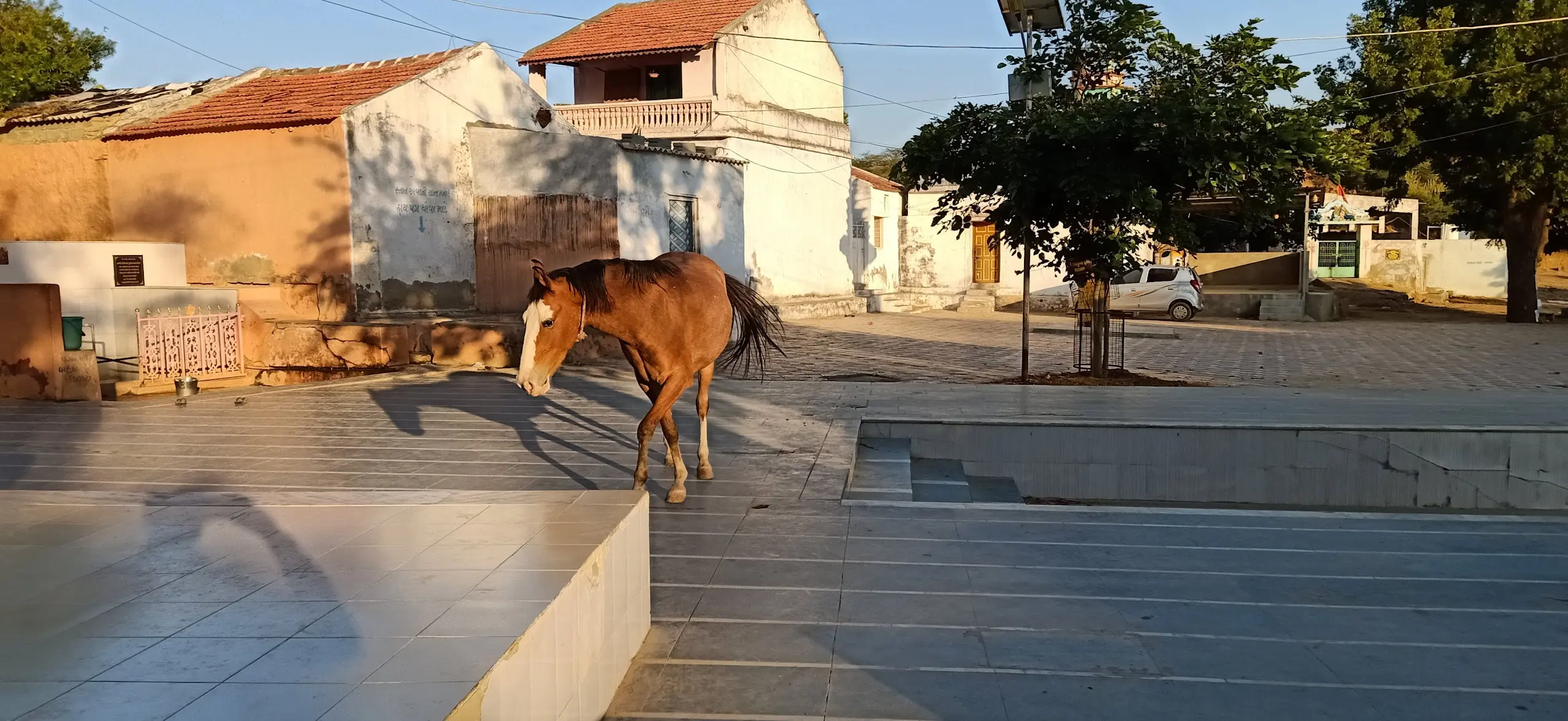 Habay Temple in Kutch Gujarat