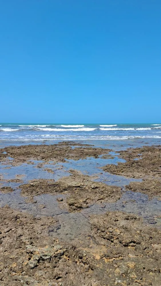 Dry landforms in Kutch Gujarat
