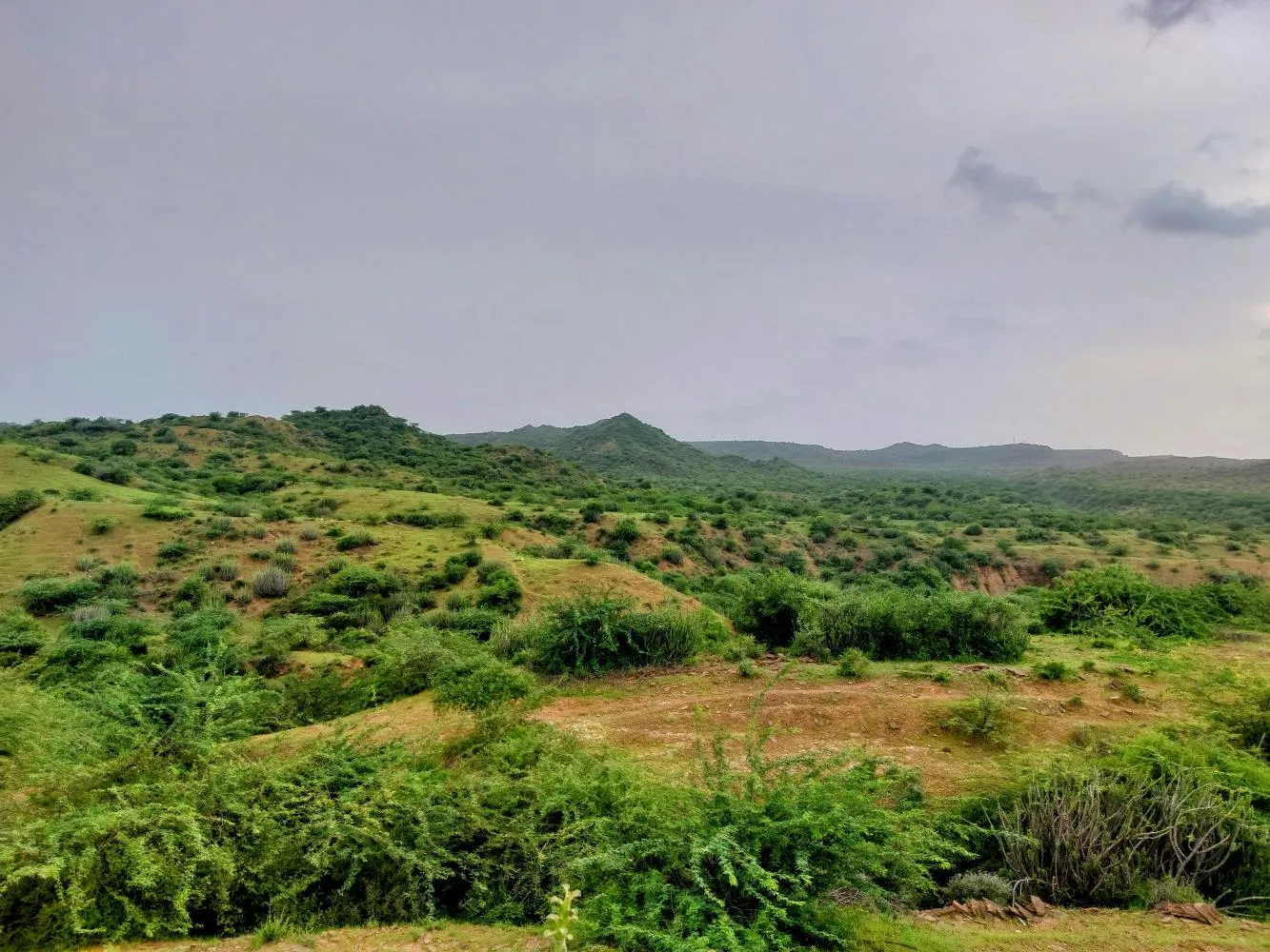 Great Rann of Kutch white salt desert in Gujarat