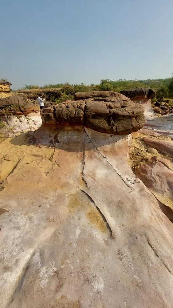 Seasonal lake in Kutch Gujarat