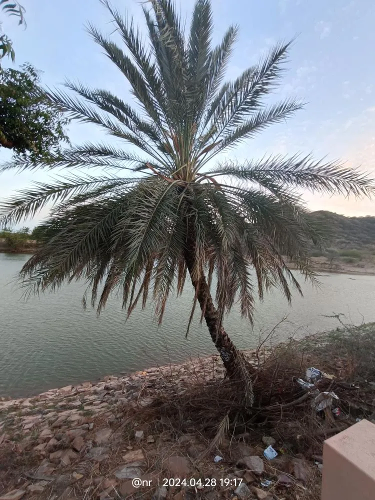 Monsoon clouds in Kutch Gujarat