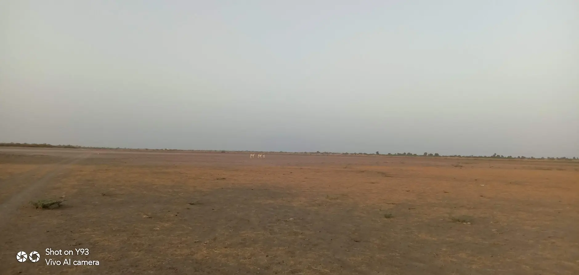 Great Rann of Kutch white salt desert in Gujarat
