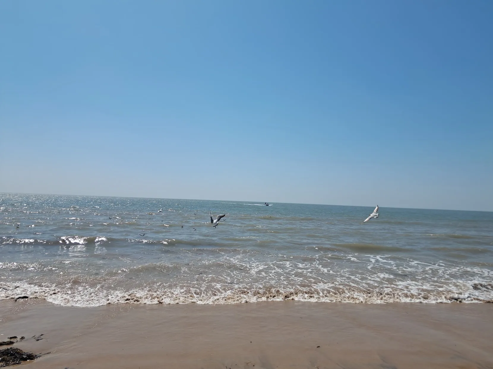 Mandvi beach and Vijay Vilas Palace on Arabian Sea coast in Kutch Gujarat