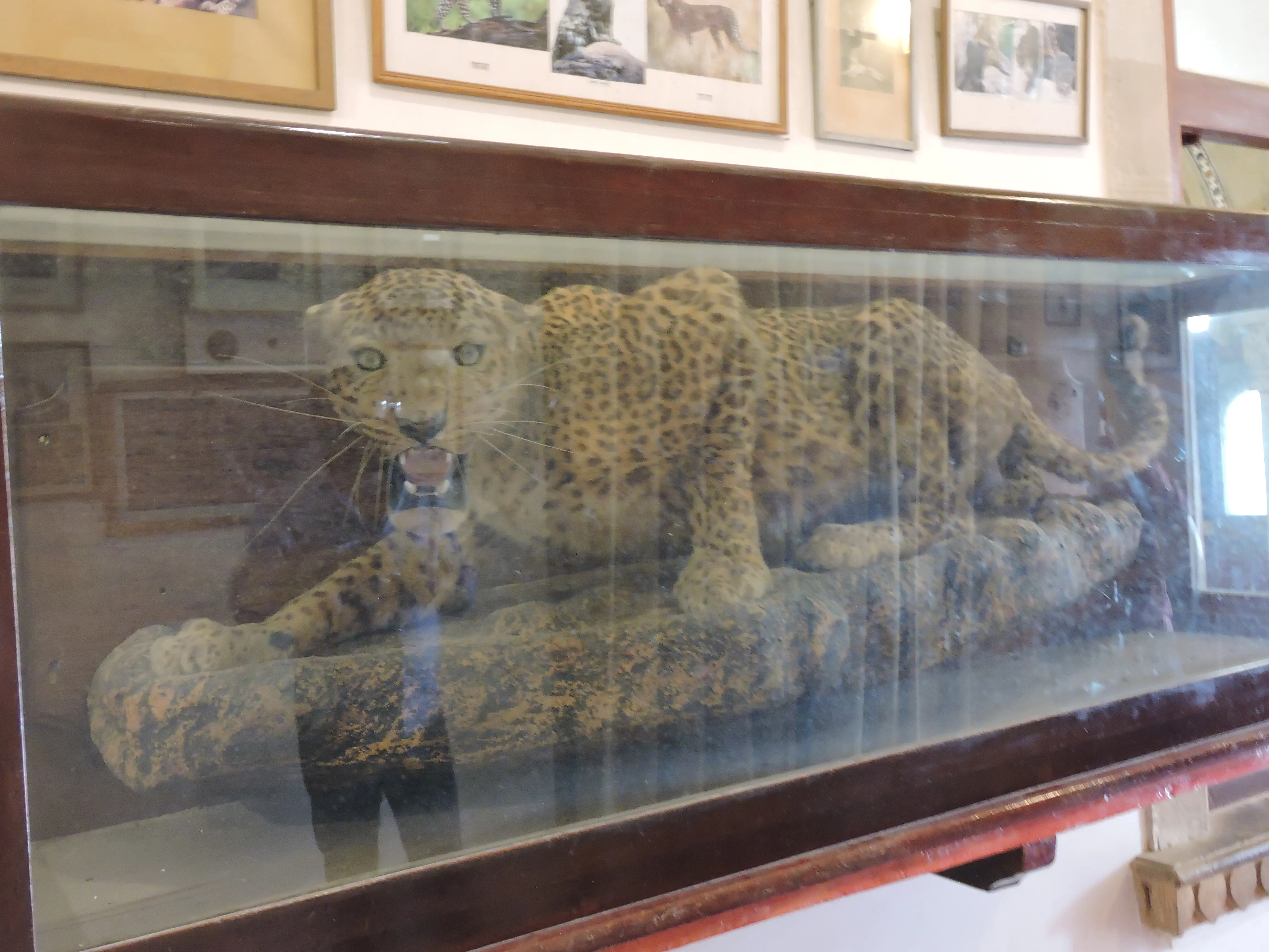 Vijay Vilas Palace - Courtyard